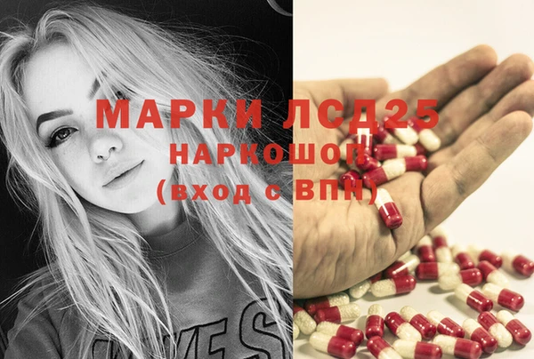 apvp Вязники