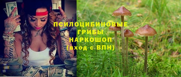 эйфоретик Вязьма