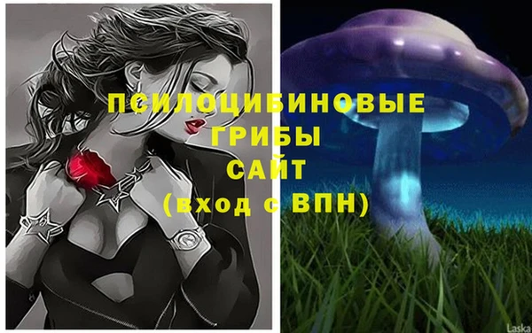 apvp Вязники