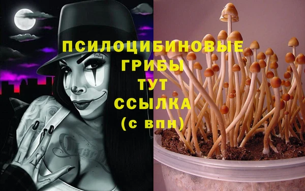 эйфоретик Вязьма