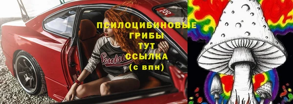 apvp Вязники